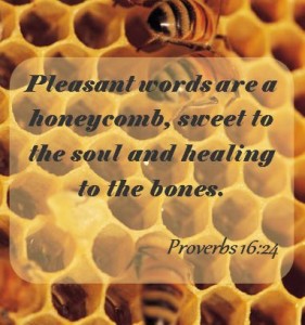 Proverbs Passage