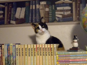 Book Cat