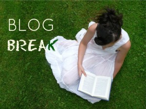 Blog Break