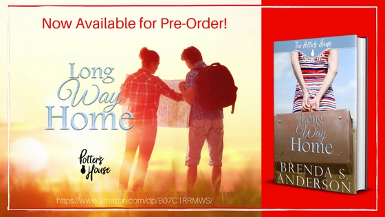 Long Way Home by Brenda S. Anderson