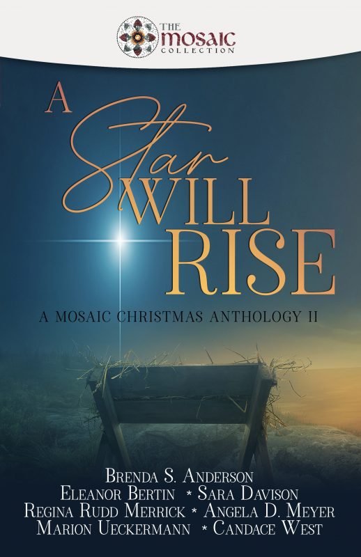 A Star Will Rise: A Mosaic Christmas Anthology II